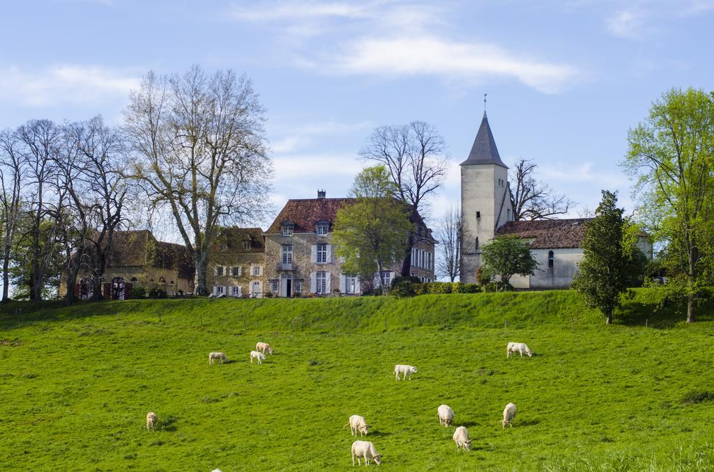 Chateau D'Orion Buitenkant foto