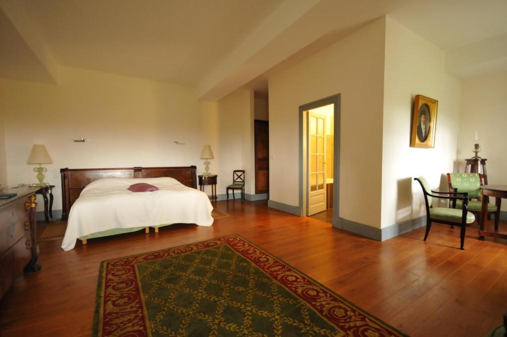 Chateau D'Orion Kamer foto