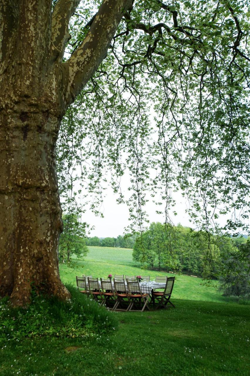 Chateau D'Orion Buitenkant foto